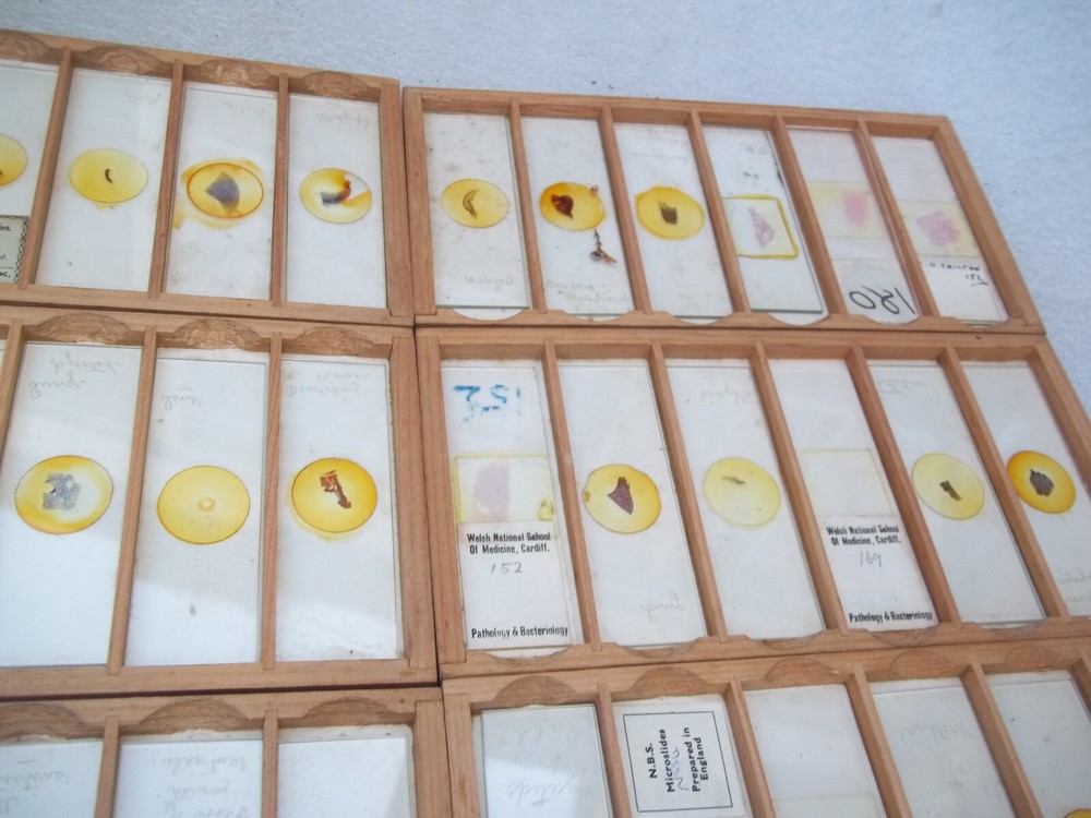 Vintage Glass Microscope Slides