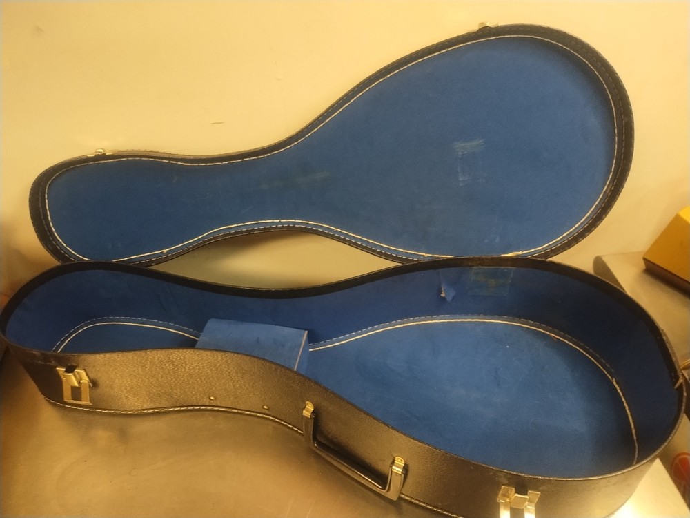 Vintage Mandolin A-Style Chipboard Case.