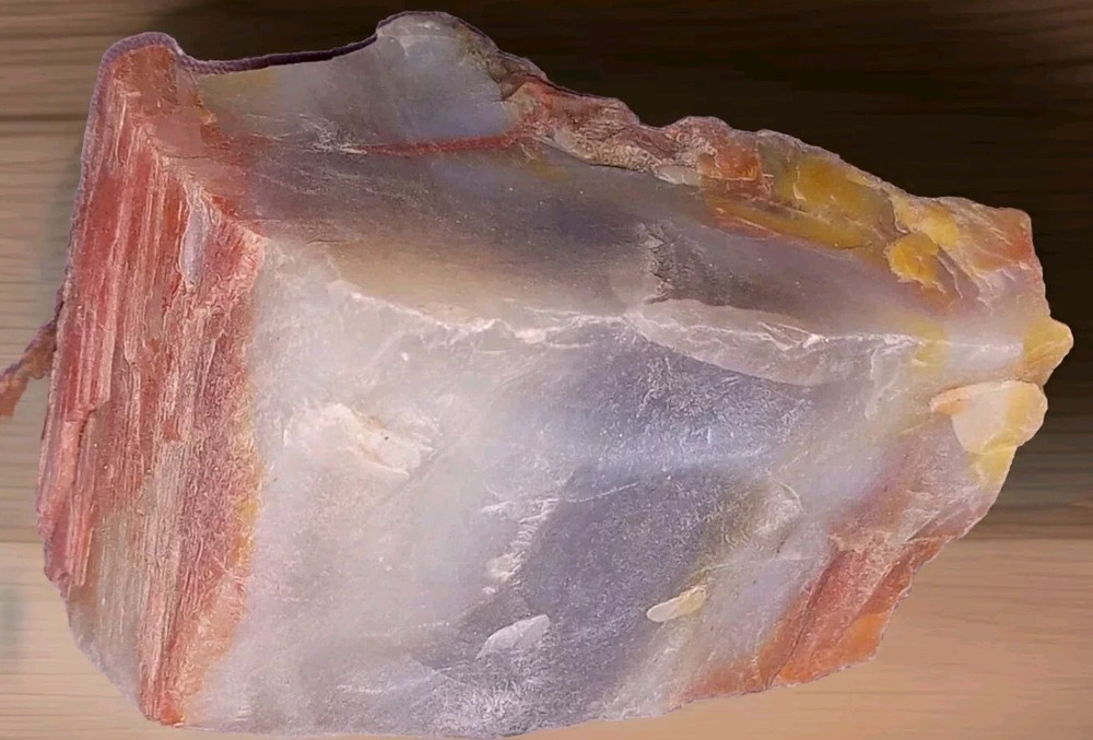 Petrified Agatized Rainbow Wood Rough 4 oz