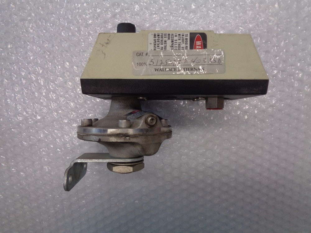 WALLACE & TIERNAN 5.62SCFH PURGEMETER NSNP