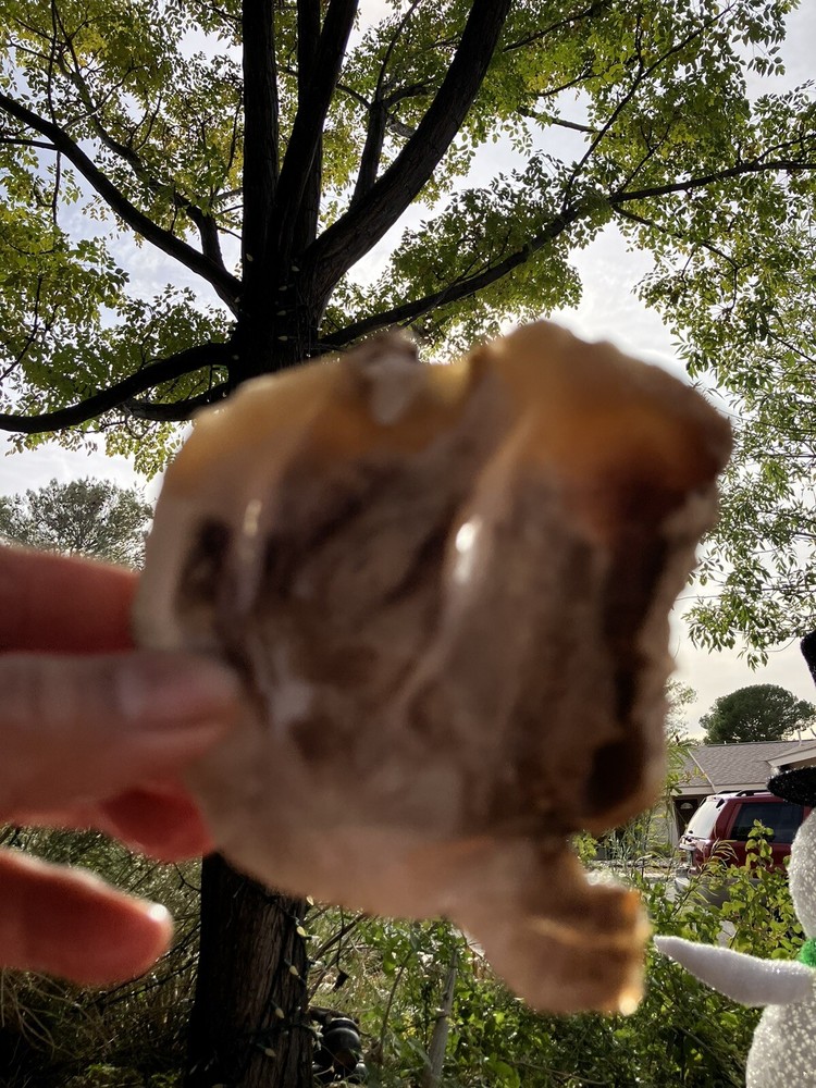 Petrified Wood Slab