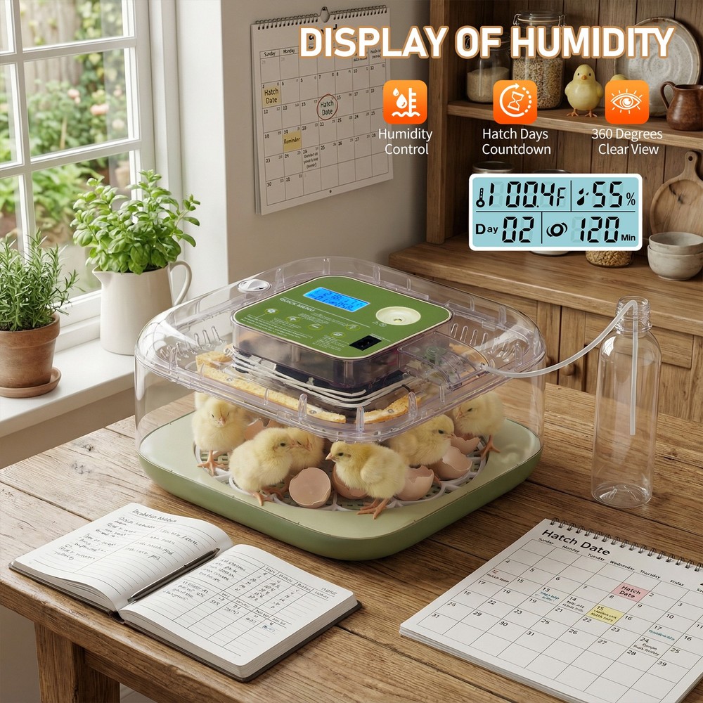 12 Eggs Incubator Fully Automatic Turning & Water Refill Temp & Humidity Control