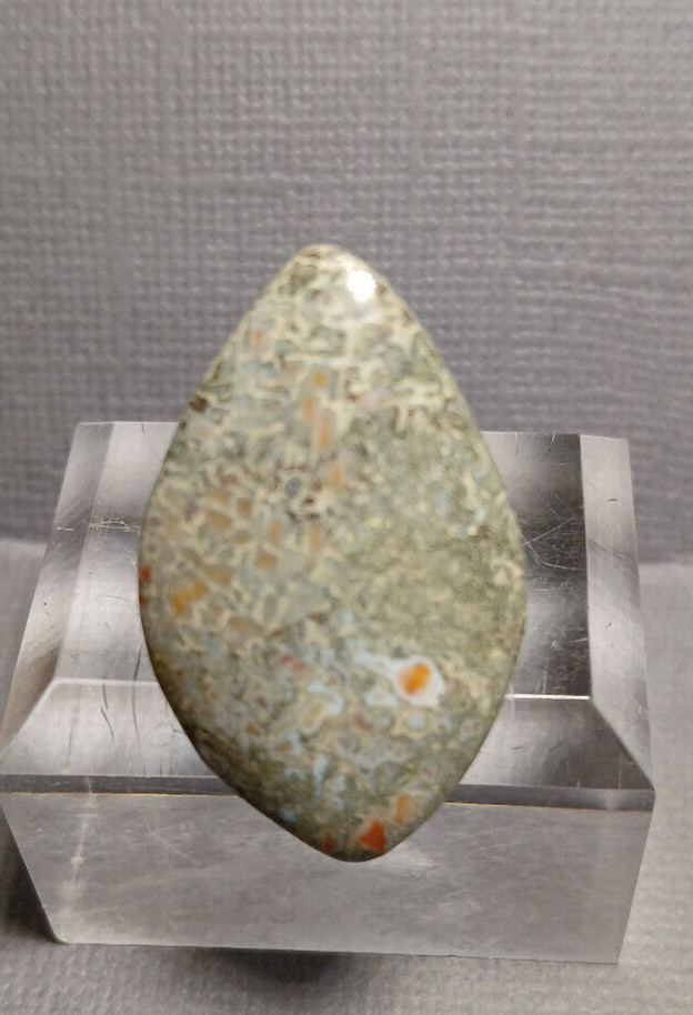 Dinosaur Bone Cabochon - Greenish Cells