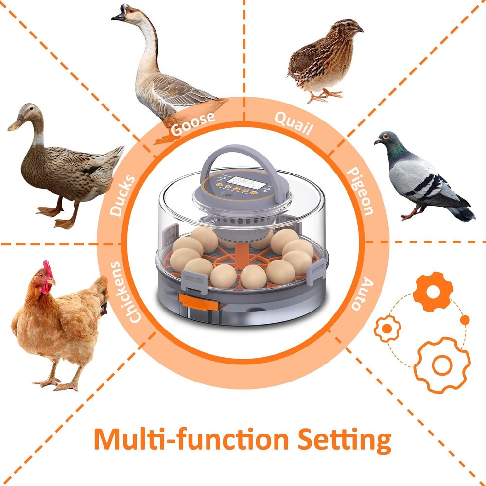 12 Egg Incubator with Automatic Egg Turning and Humidity Control, Intelligent...