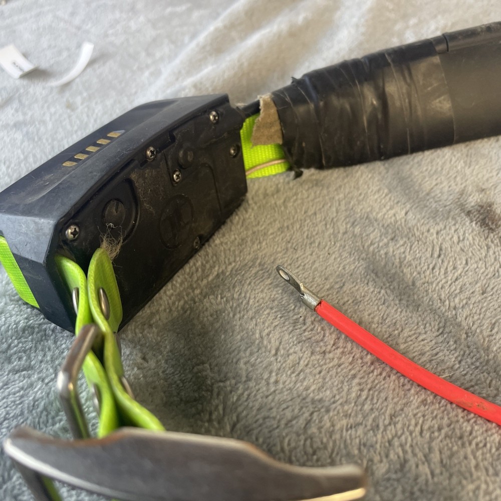 Garmin DC50 GPS Dog Tracking Collar USA Version