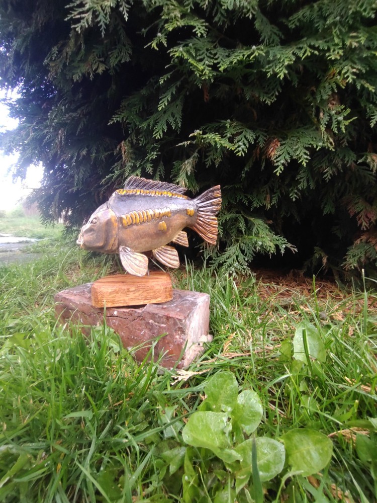 Carp Fishing, linear Carp Display, statue