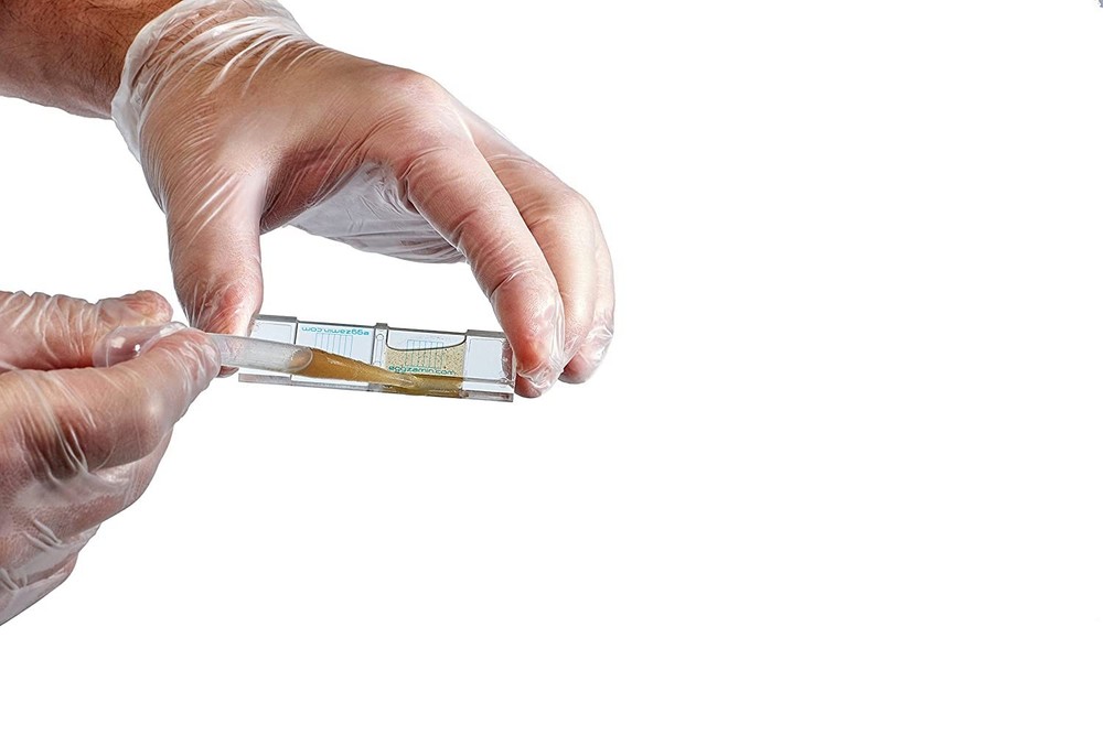 Bundle 2 McMaster Method Microscope Slides FEC Fecal Egg Count Double Chamber