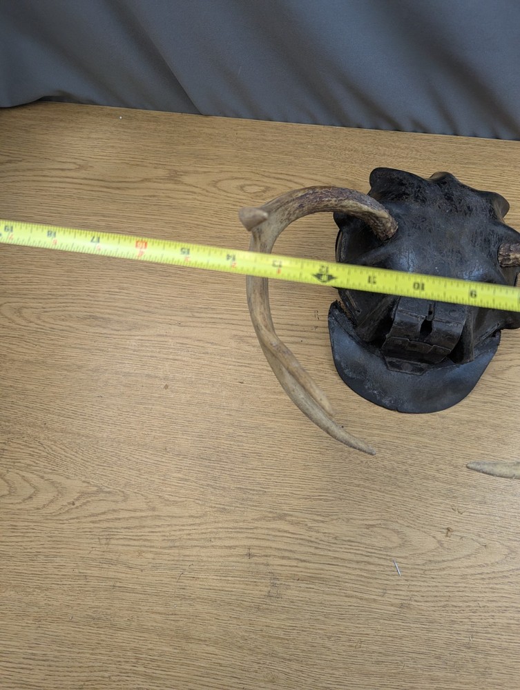 Coal Miner Mining Hat Leather Turtle Shell Helmet 1920’s W Applied Stag Antlers!