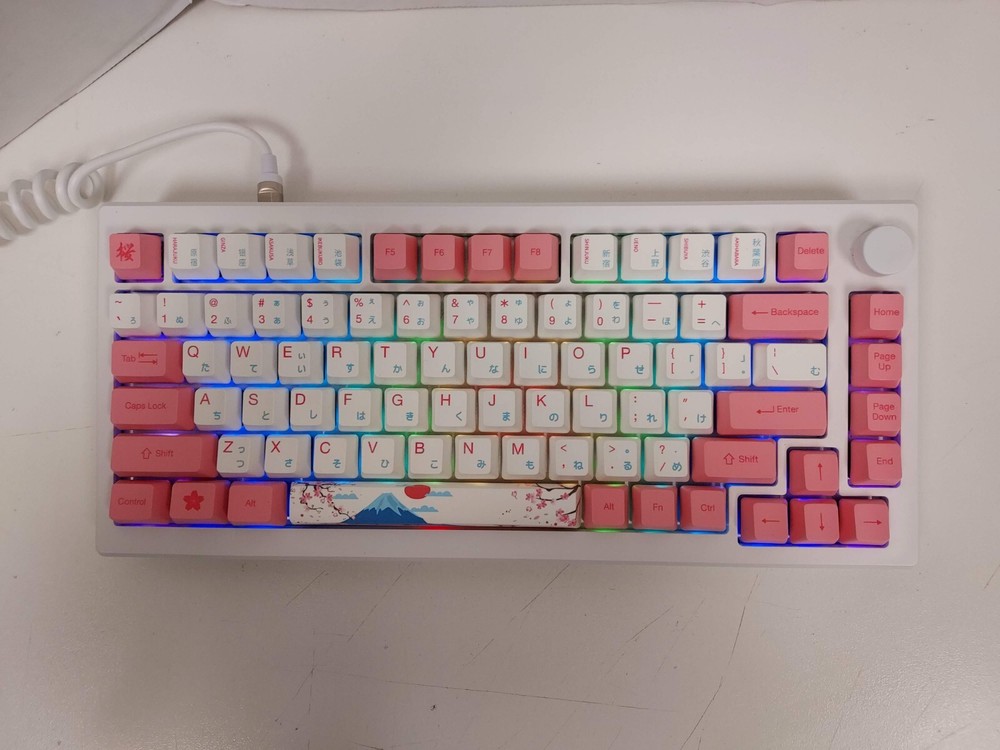 AKKO MOD007B HE PC Tokyo Edition Wireless Compact Mechanical Keyboard #2