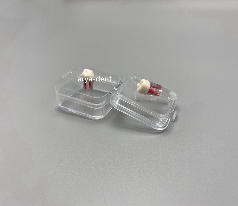 90pcs Denture Teeth Membrane Case Container Hinge Jewelry Display Storage Box