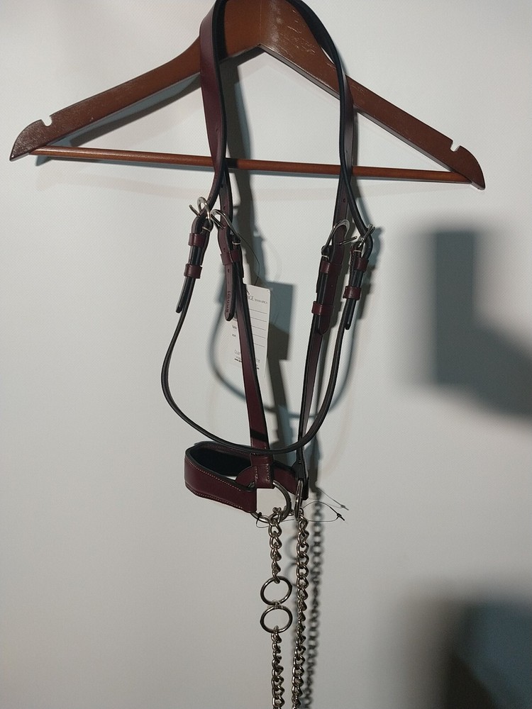 Passage Equestrian Bridle full size (DD)