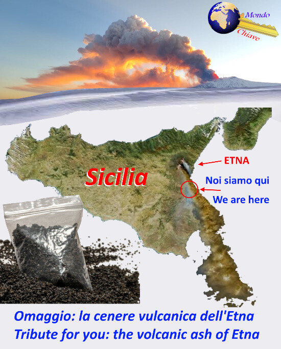 Replacement switch SW-008 for Shell Case Cover 3 Pieces