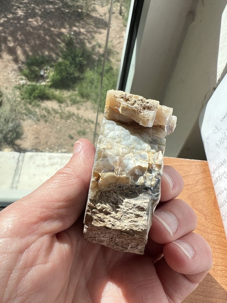 W9 Lapidary Blue Forest Petrified Wood WY