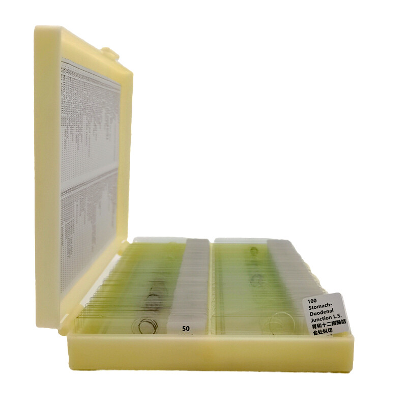 100PCS Mammal Tissue Sections Histology Prepared Specimen Microscope Slides
