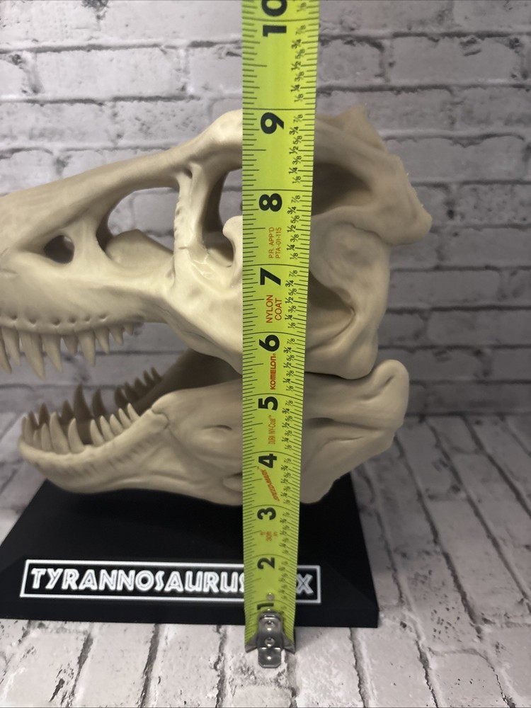 T-Rex 3D printed dinosaur skull large bone colored realistic With Stand Bone PLA