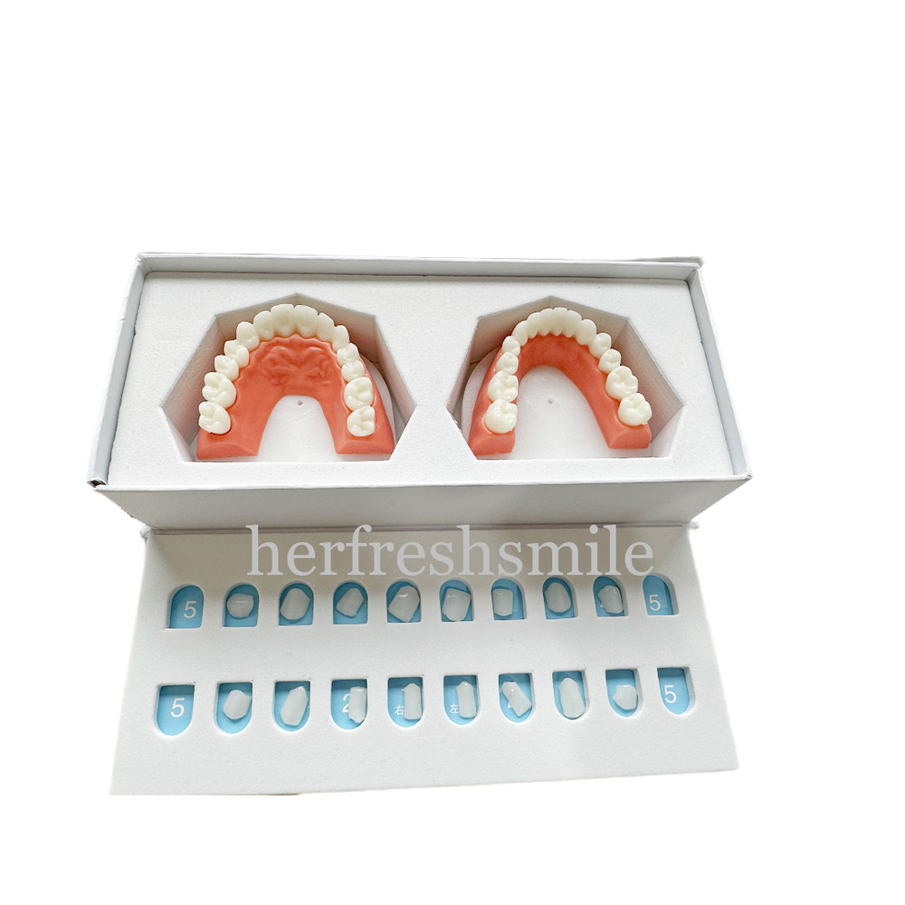 2Set Dental Composite Veneer Template Model Practise Veneers Dentist Teaching