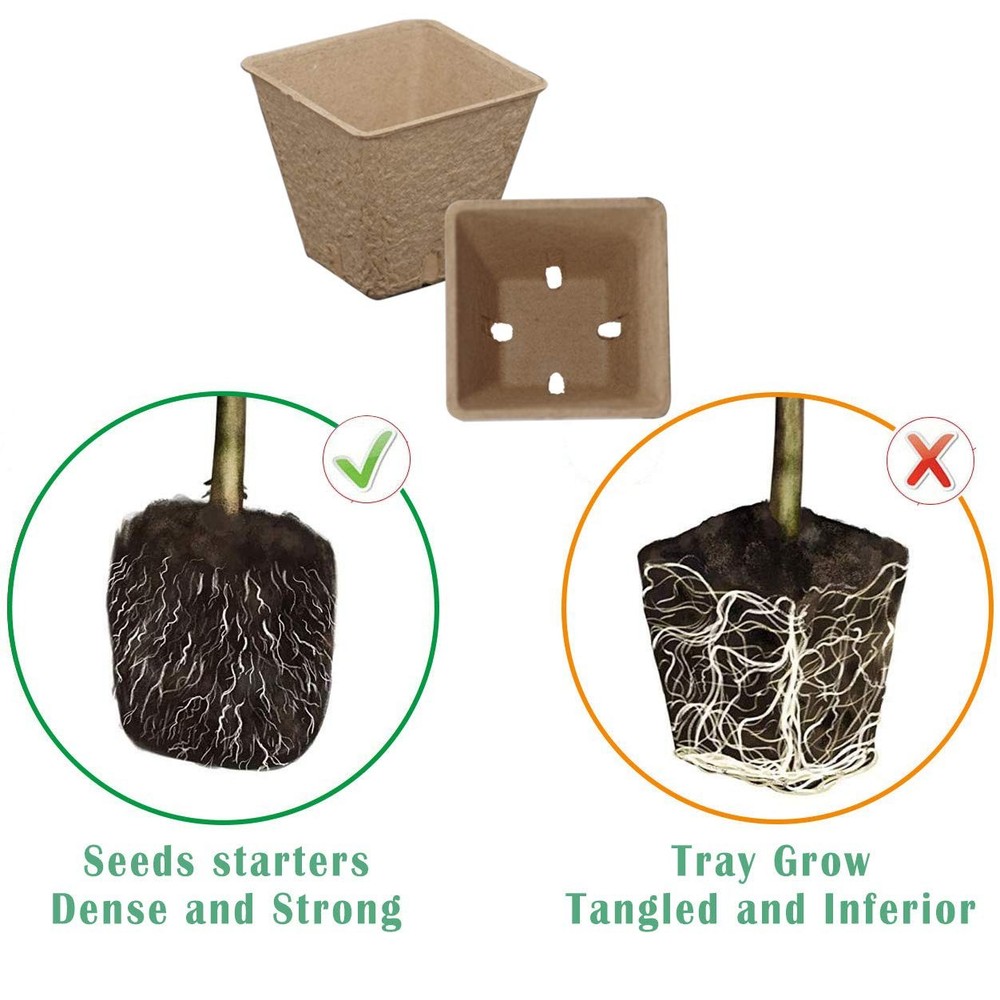 Seed Starter Kit with Peat Pots for Seedlings Seed Starter Tray, Including 10...
