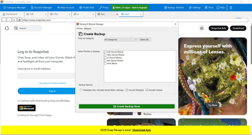ProfileHub Multi Account Browser Manager Windows 10/11 Proxy Password Manager