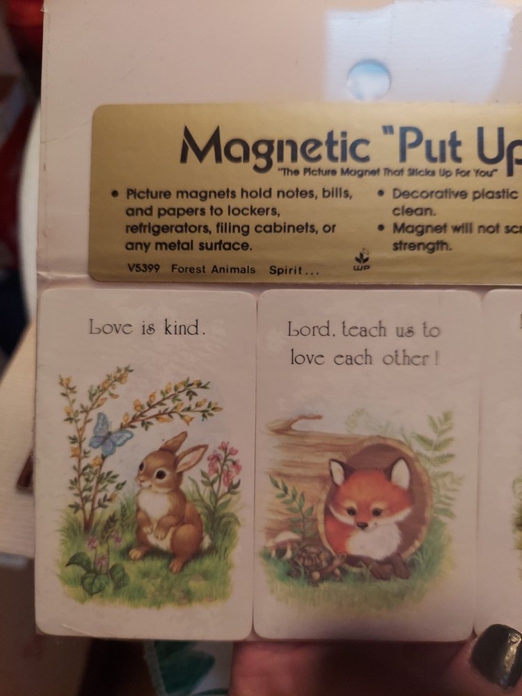 VINTAGE ~Magnetic "PUT UPS"