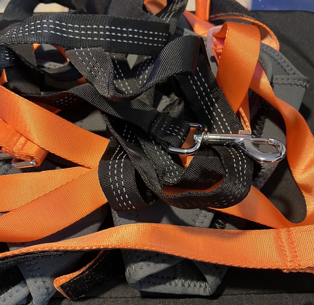 Lispoo Dog Harness Both Legs Left And Right Brace M