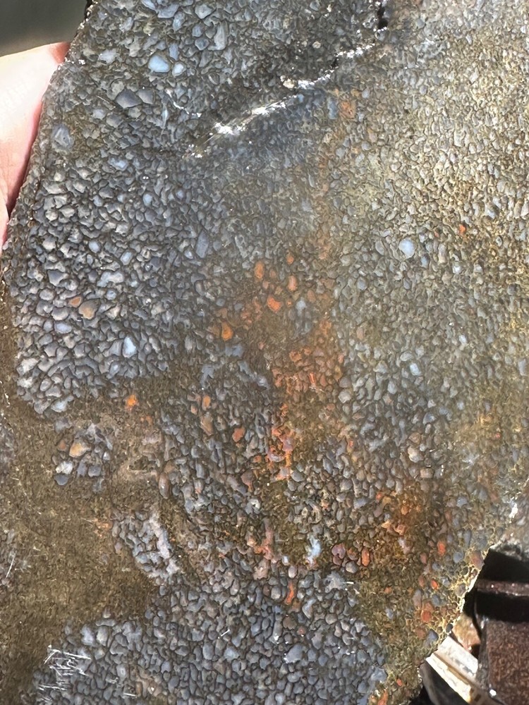 Dinosaur bone rough **hxtled large slab.