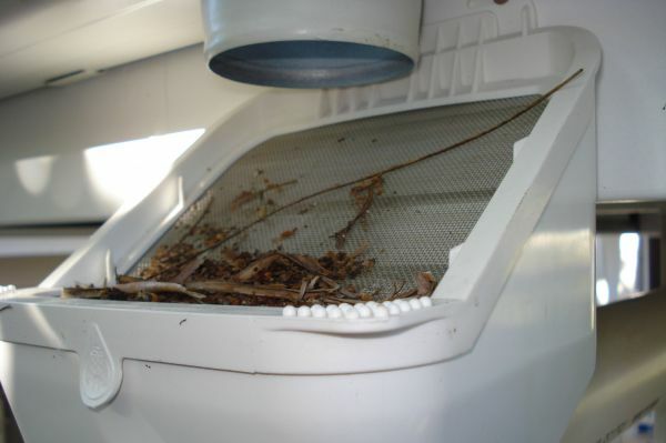 Rain Harvesting ADVANCED RAIN HEAD LEAF EATER Single Screen Pivot Outlet