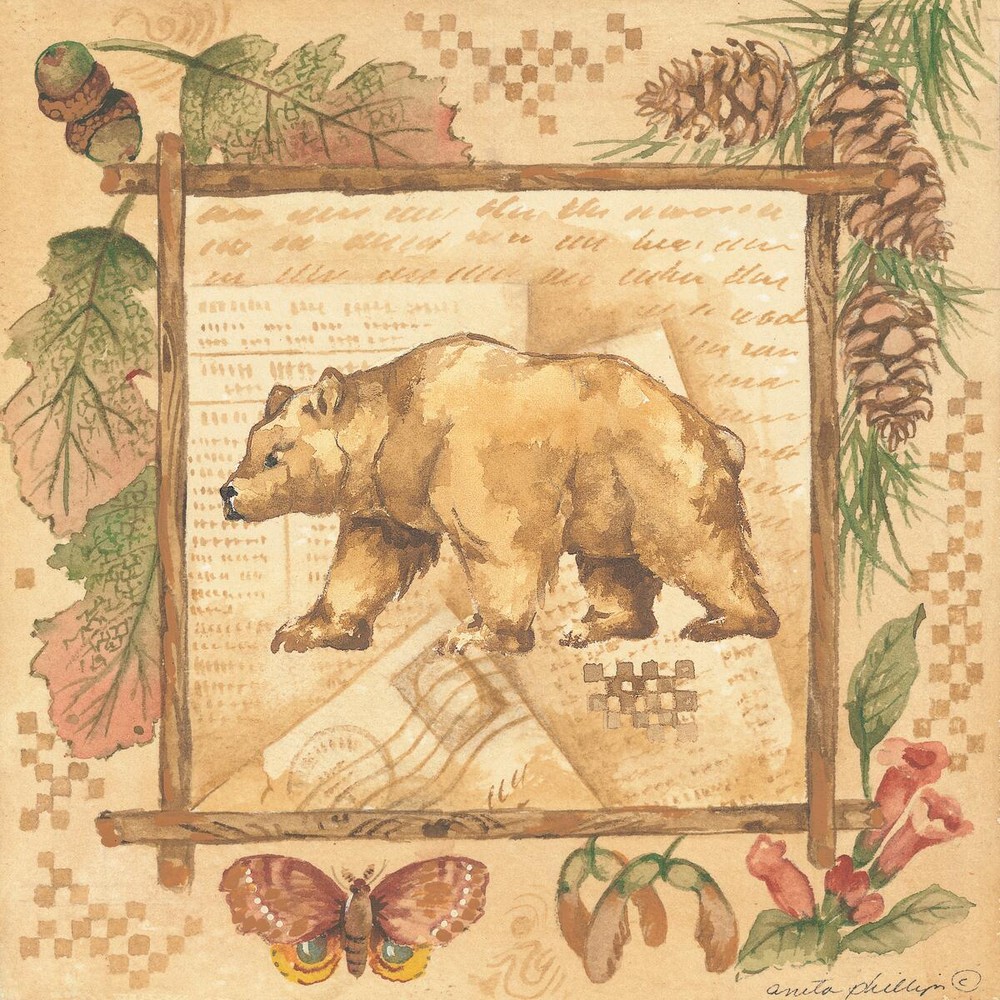 Ceramic Backsplash Tile Mural Bear Kitchen/Bathroom - Bear - Anita Phillips
