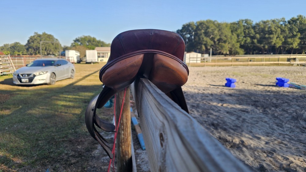 Collegiate Saddle 6524