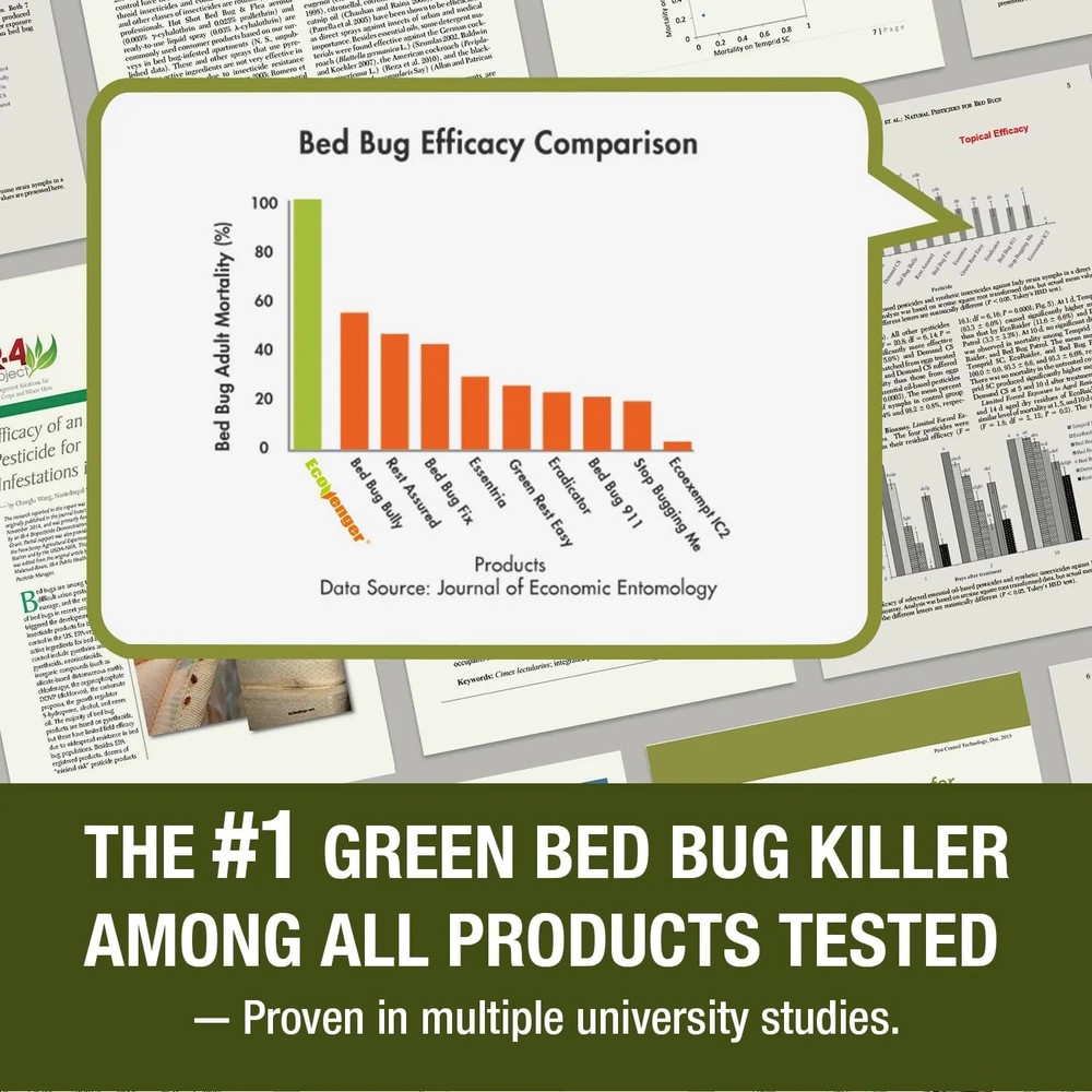 Bed Bug Killer by Ecoraider 16Oz.-100% Efficacy Kills All Stages/Eggs Eco