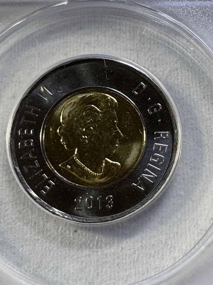 2013 Canada $2 Polar Bear Graded MS 67 by ANACS Toonie