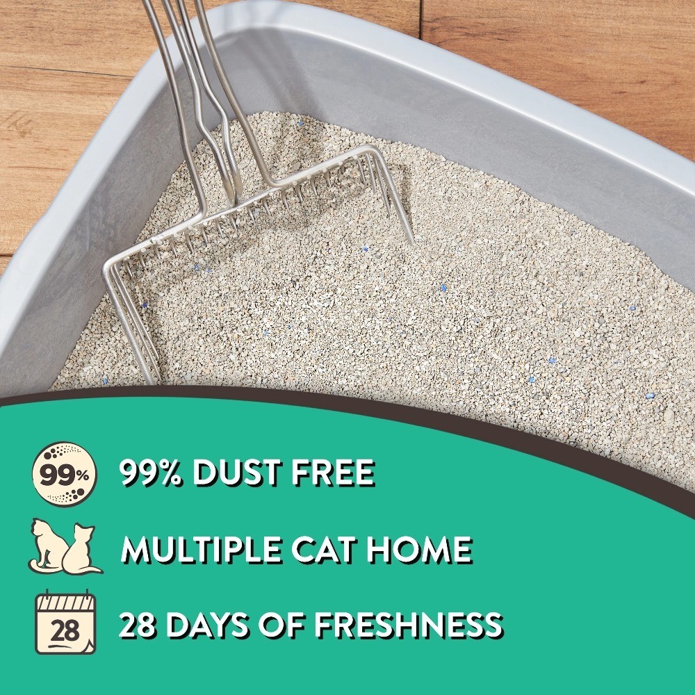 Clumping Clay Cat Litter with Fresh Scent 20 lbs Jug
