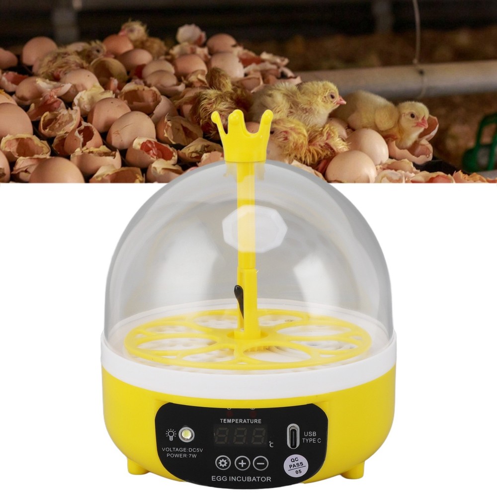 Automatic Temperature Control Mini Egg Incubator For Home Chicken Hatching