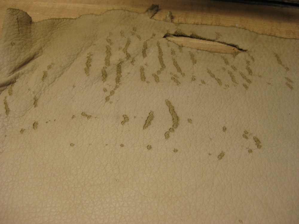 Buffalo Top Grain Leather # 0012785 ROW 38