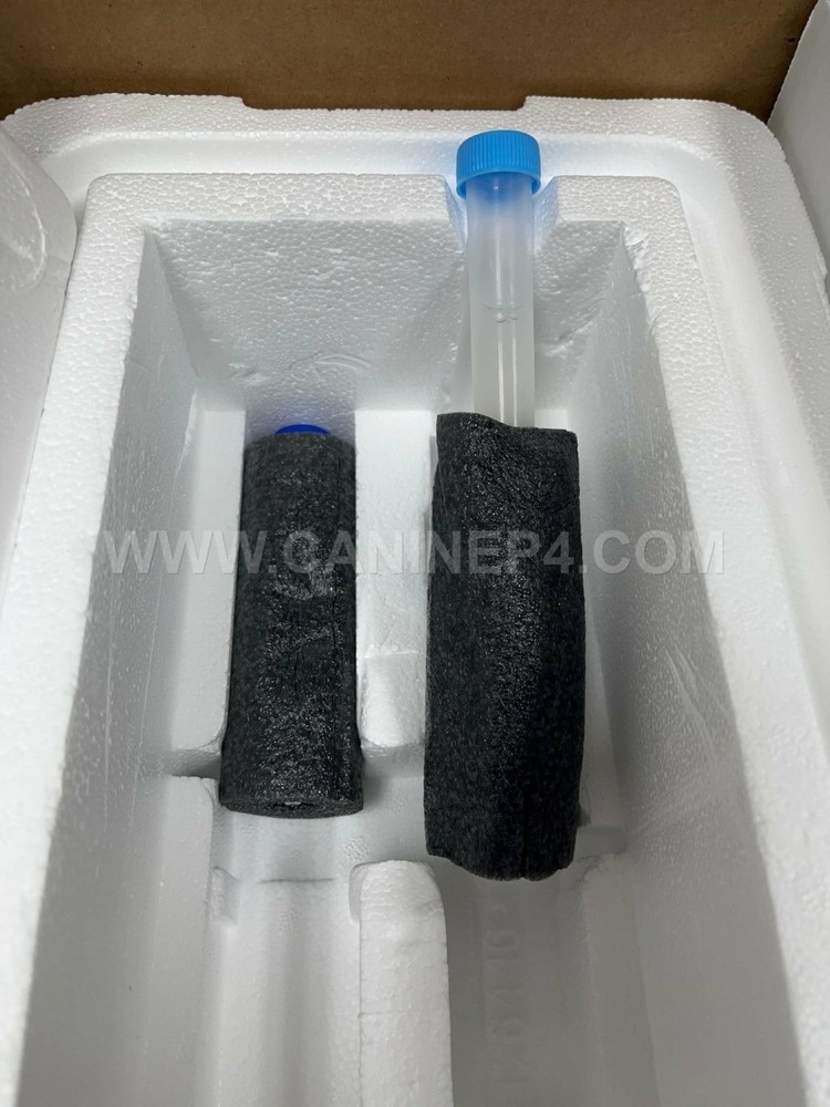 Canine Express Sperm Insulated Transport Shipper