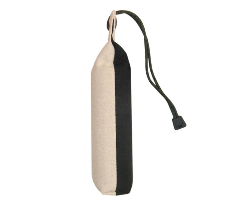 Puppy Training Dummies