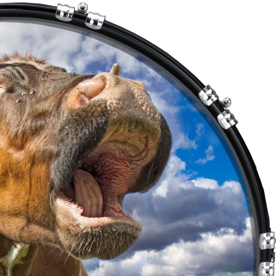 22" Custom Bass Kick Drum Front Head Graphic Graphical Moo