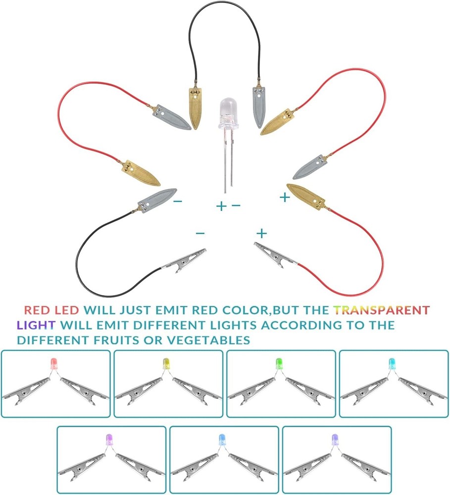 Fruit Battery Science Experiment Kit with Instruction, Potato Science Educationa