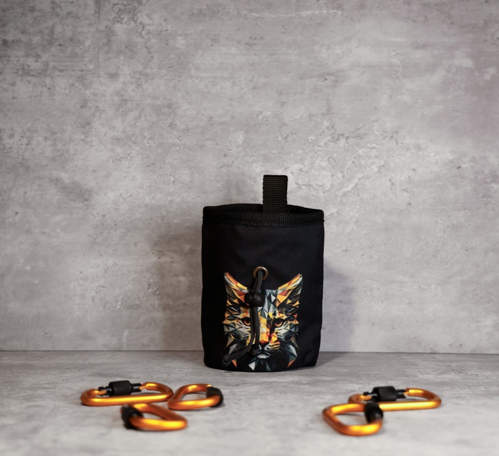 Geometric Wildcat Chalk Bag — Precision Meets Power