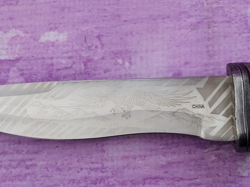 Etched Eagle Bayonet Fixed Blade Knife 6in with Sheath Box Eagle Handle Unique