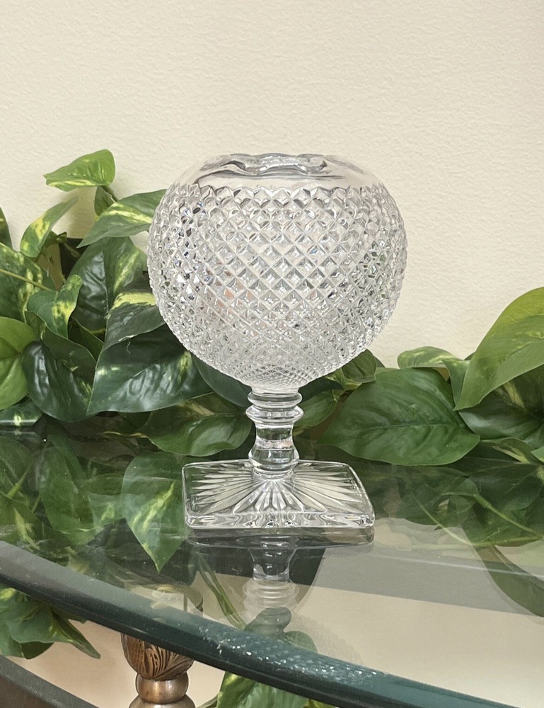 Ivy Glass Planter Dish Clear Glass Display Piece