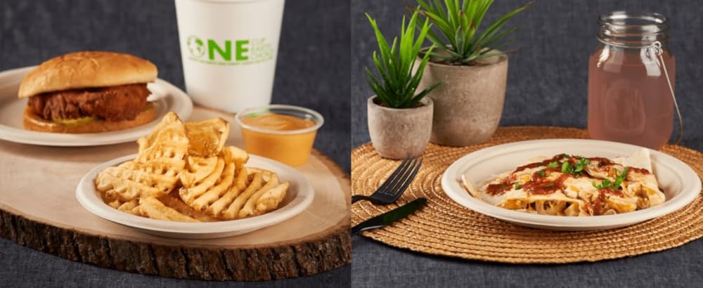 10-Inch postable Disposable Paper Plates – Heavy-Duty,