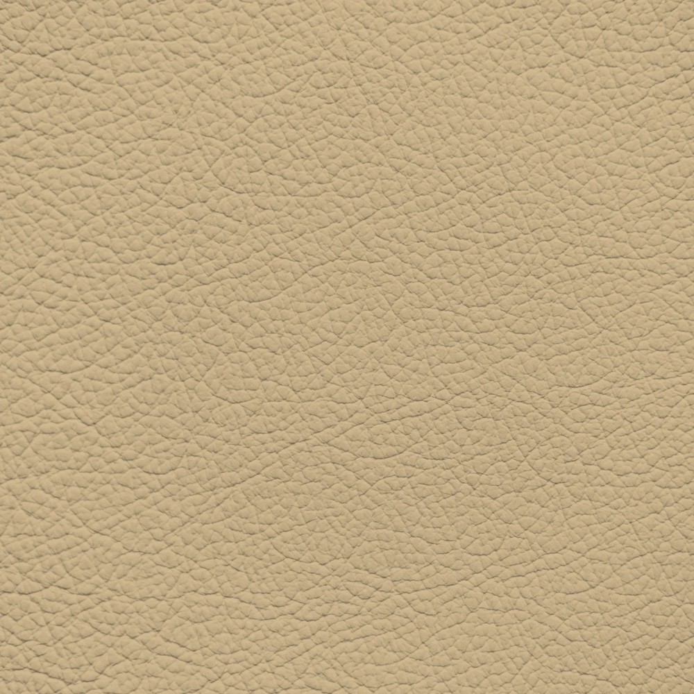 Audi Saiga Beige Leather Dye