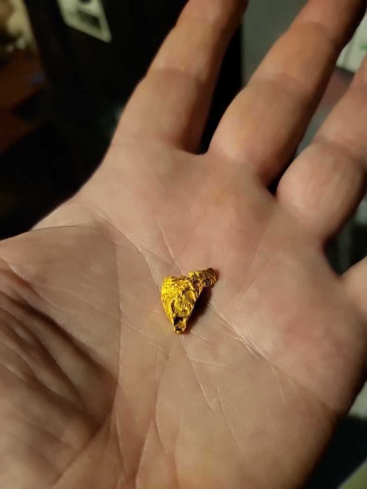 Gold Nugget