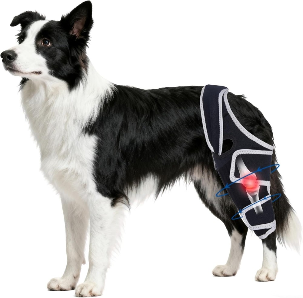 Universal Dog Knee Brace – Torn ACL Joint Support Front/Back Legs Size XLarge