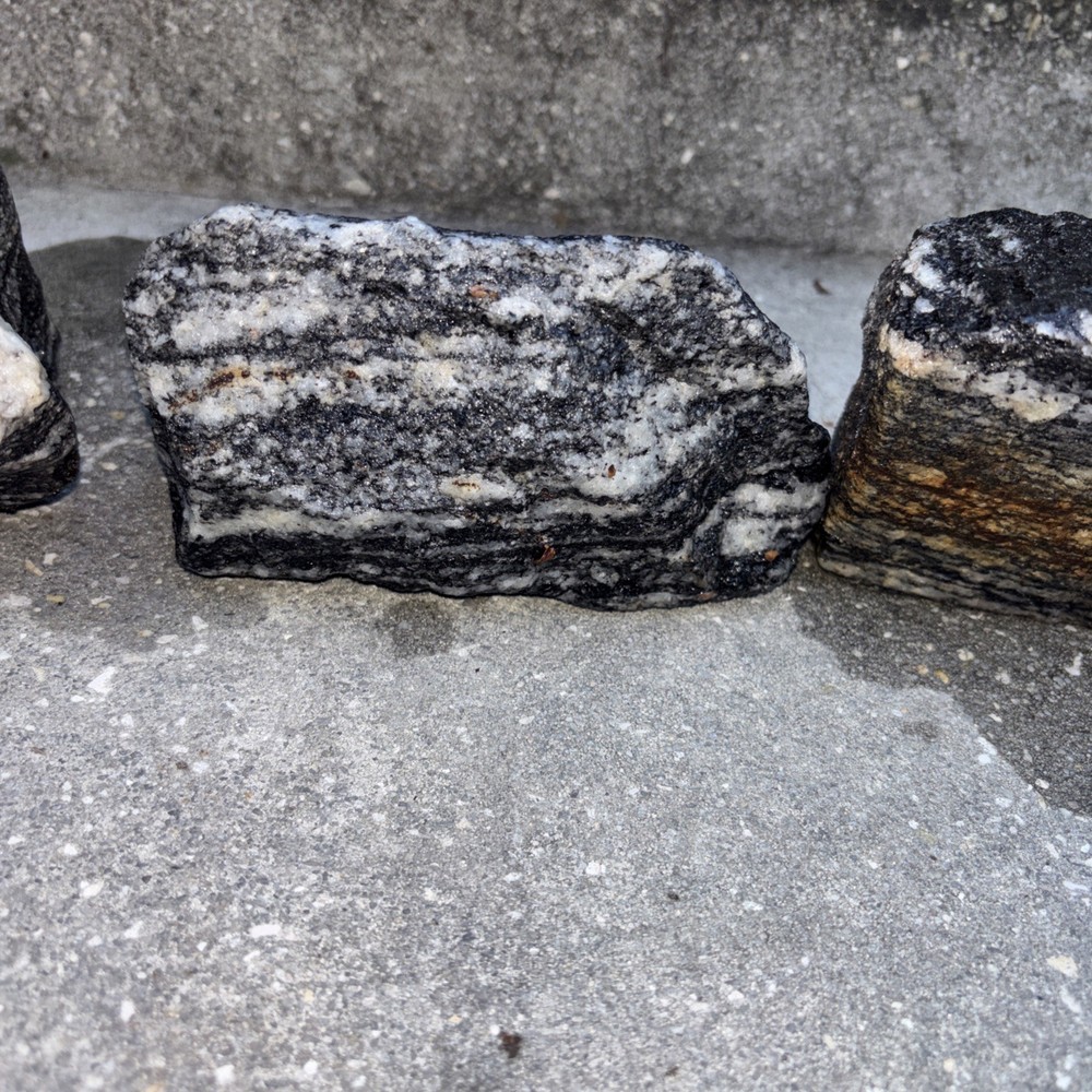 Gneiss Excellent Examples