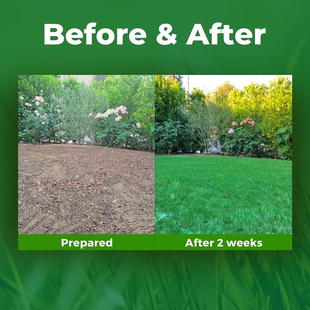 Biodegradable Grass Seed Mat - 100 sqft Green Solution
