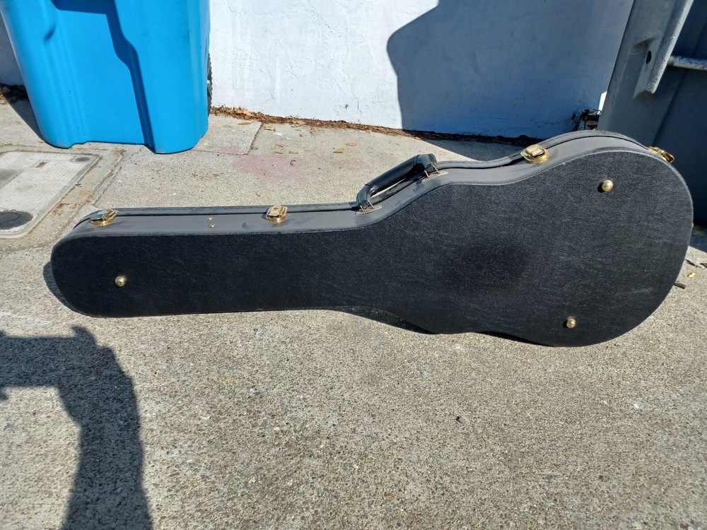 Gibson les Paul Case