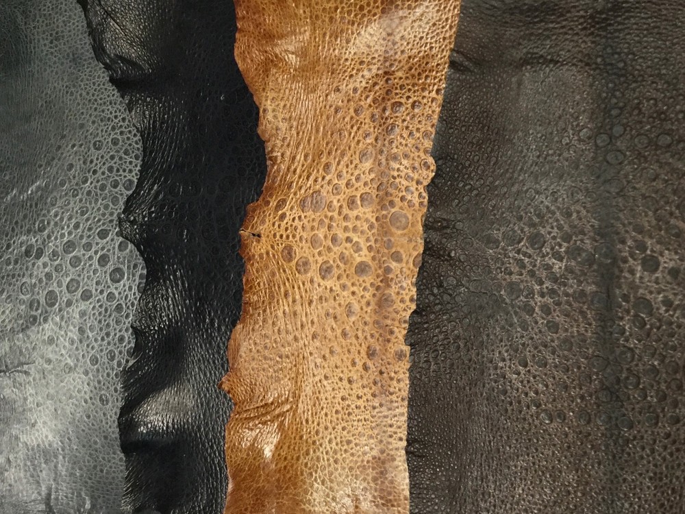 multiple color black gray brown Genuine Cane Toad Skin Leather sample 2pcs