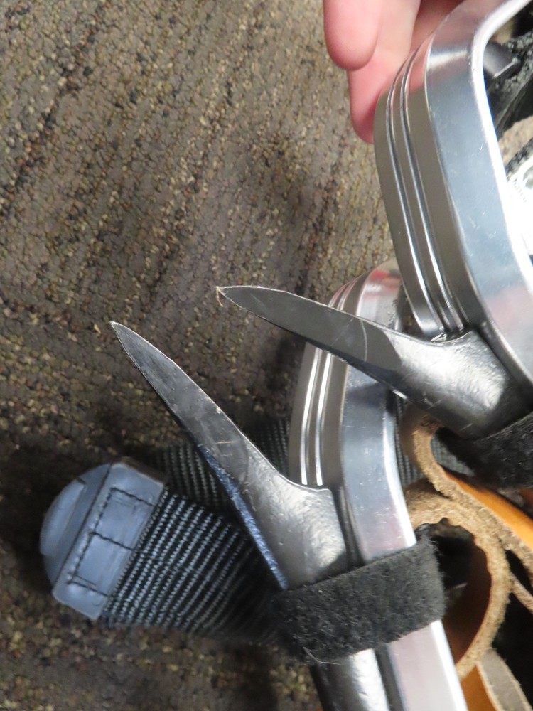 Notch Gecko - Tree Spikes -