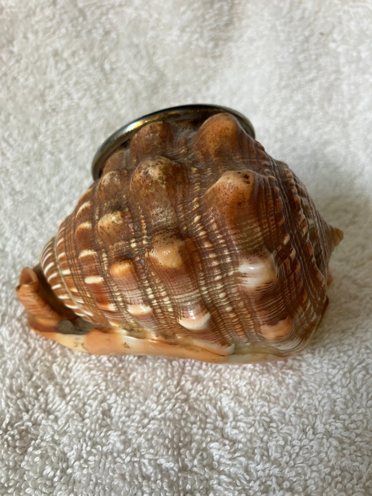Vintage Rochester Room Thermometer in a Shell